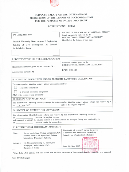 Leuconostoc citreum A5 기탁증서
